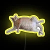 Chubby Kitty 1 RGB Neon Sign - Image 5