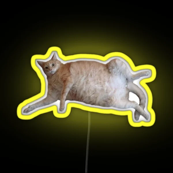 Chubby Kitty 1 RGB Neon Sign