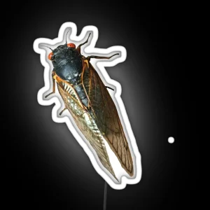 Cicada Bug Photo RGB Neon Sign