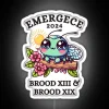 CICADA EMERGENCE 2024 KAWAII CICADAGEDDON CICADA BROOD RGB Neon Sign