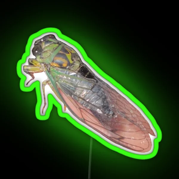 Cicada RGB Neon Sign