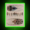 Cicadas RGB Neon Sign - Image 4