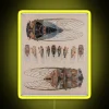 Cicadas RGB Neon Sign - Image 5