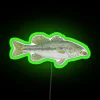 Cigar Largemouth RGB Neon Sign - Image 4