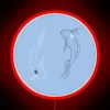 Circle Led Light Blue Drawing Of Tui And La From Avatar The Last Airbender ATLA RGB Neon Sign - Image 2