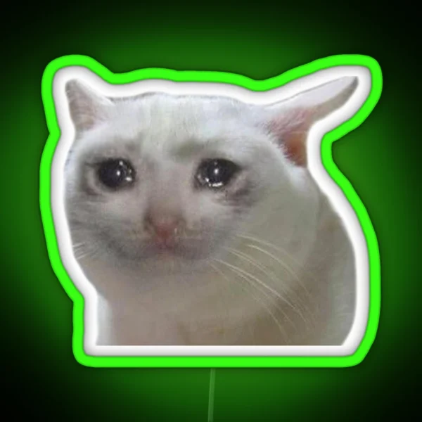 Classic Sad Cat Led Meme RGB Neon Sign