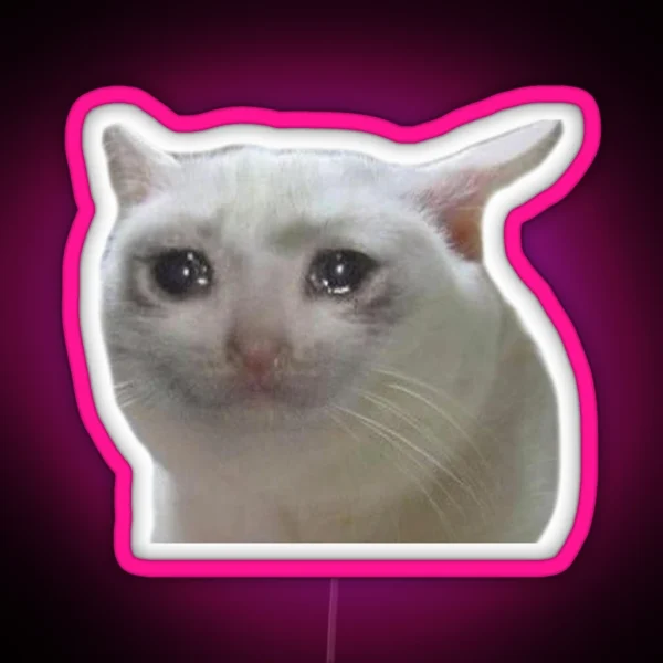 Classic Sad Cat Led Meme RGB Neon Sign