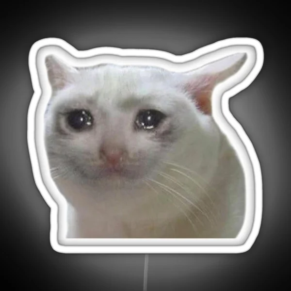 Classic Sad Cat Led Meme RGB Neon Sign