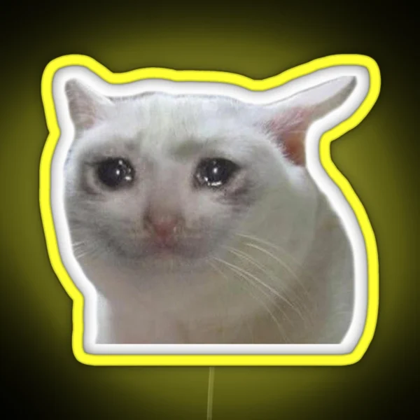 Classic Sad Cat Led Meme RGB Neon Sign