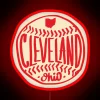 Cleveland Ohio Hand Drawn Script RGB Neon Sign - Image 2