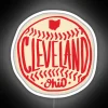 Cleveland Ohio Hand Drawn Script RGB Neon Sign