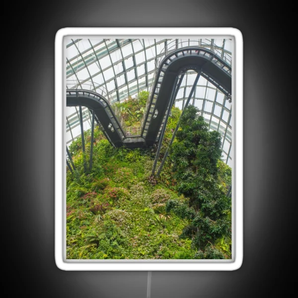 Cloud Forest Walkway RGB Neon Sign