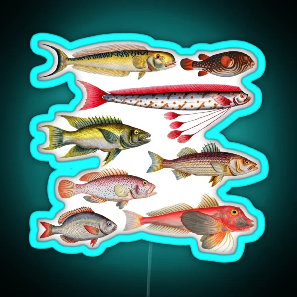 Colorful Fish Illustration RGB Neon Sign