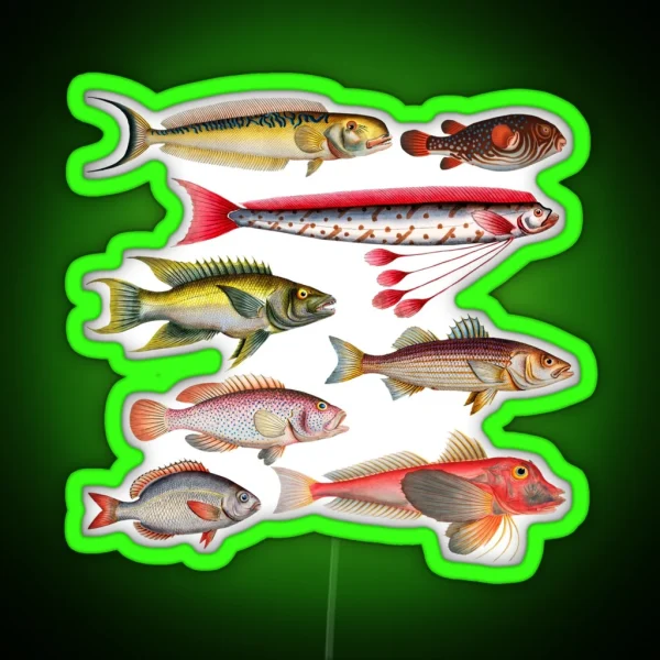 Colorful Fish Illustration RGB Neon Sign