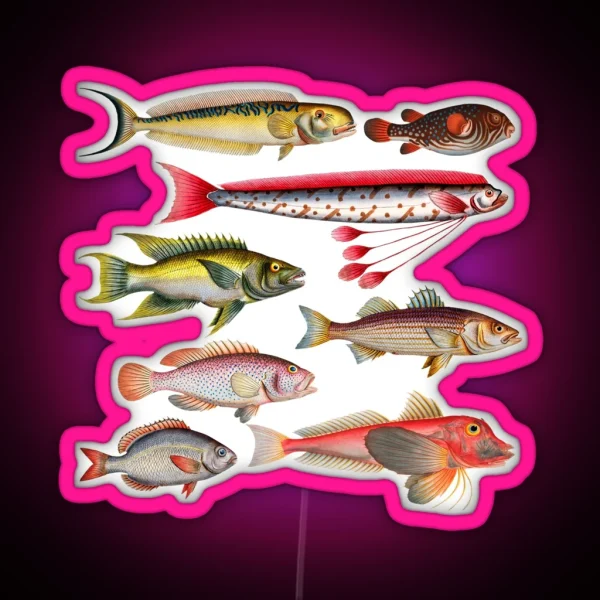 Colorful Fish Illustration RGB Neon Sign
