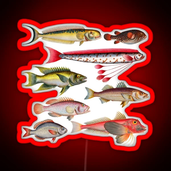 Colorful Fish Illustration RGB Neon Sign