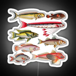 Colorful Fish Illustration RGB Neon Sign