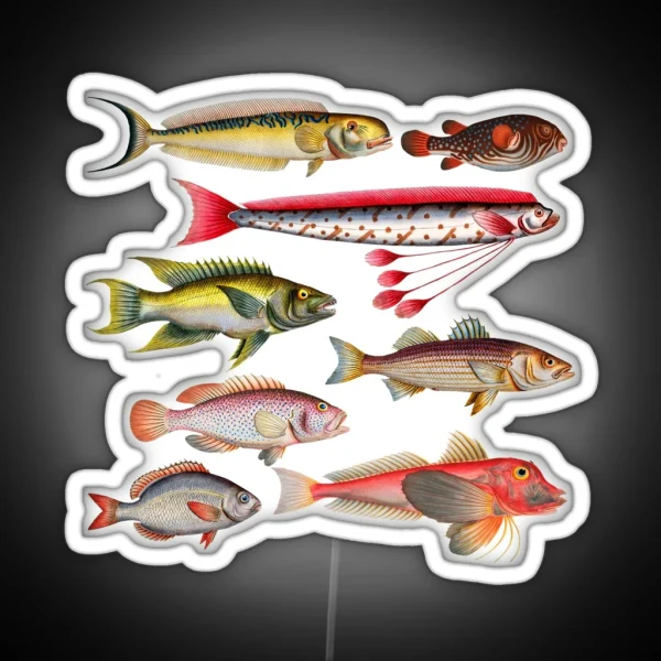 Colorful Fish Illustration RGB Neon Sign