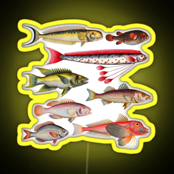 Colorful Fish Illustration RGB Neon Sign