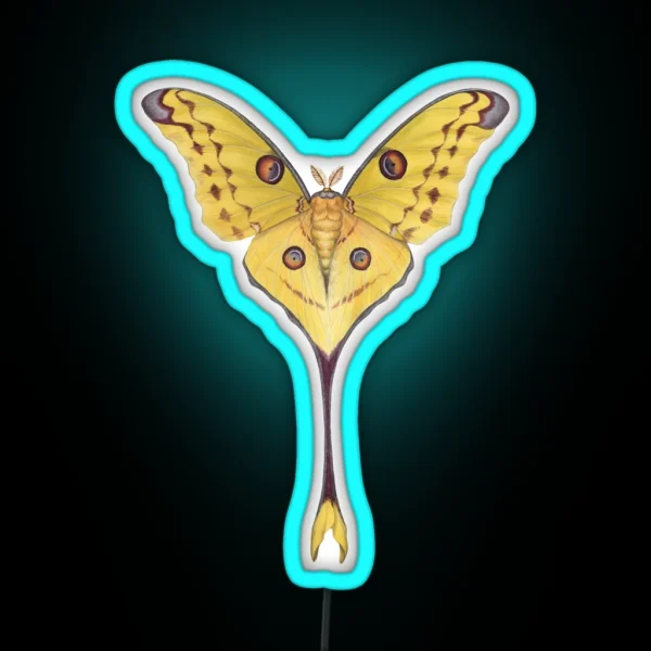 Comet Moth Argema Mittrei RGB Neon Sign