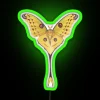 Comet Moth Argema Mittrei RGB Neon Sign - Image 4