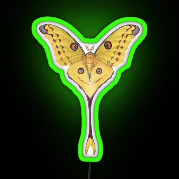Comet Moth Argema Mittrei RGB Neon Sign