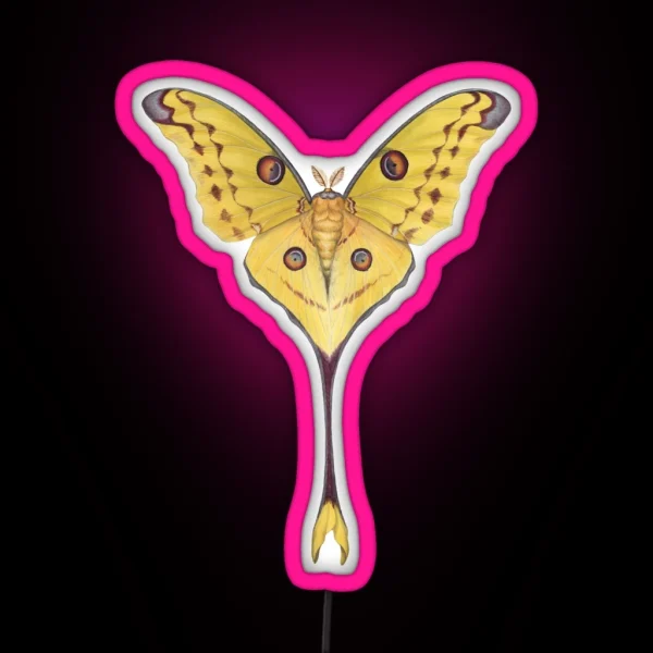 Comet Moth Argema Mittrei RGB Neon Sign