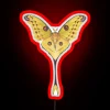 Comet Moth Argema Mittrei RGB Neon Sign - Image 2