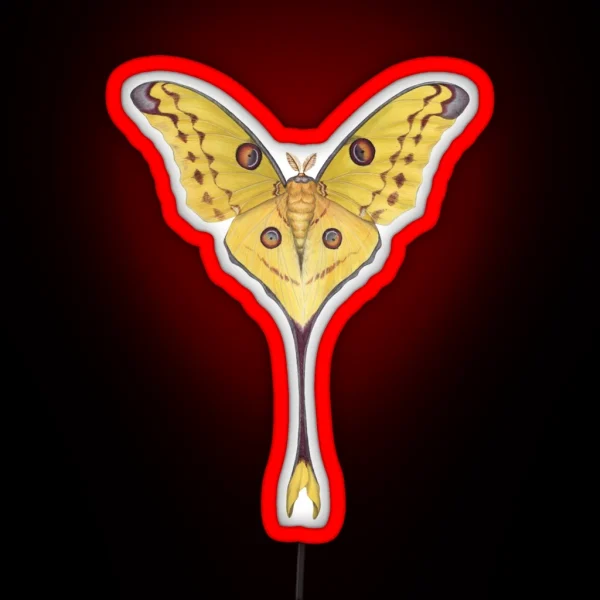Comet Moth Argema Mittrei RGB Neon Sign