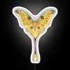 Comet Moth Argema Mittrei RGB Neon Sign
