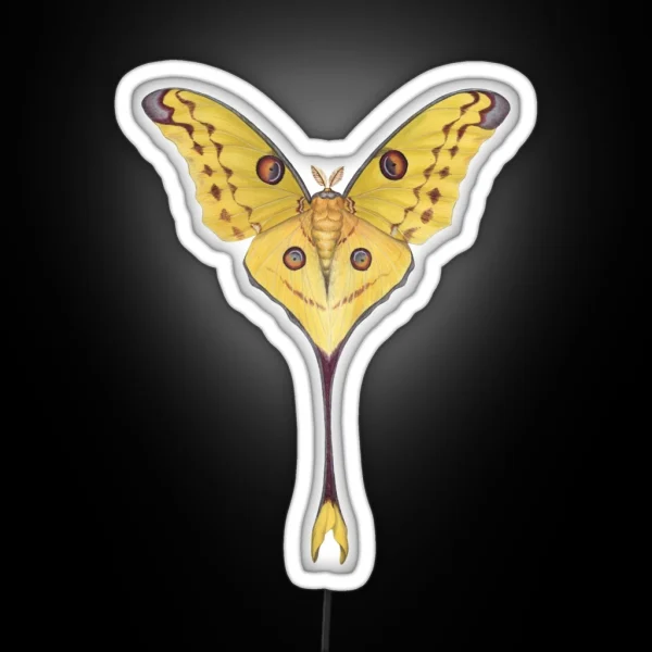 Comet Moth Argema Mittrei RGB Neon Sign