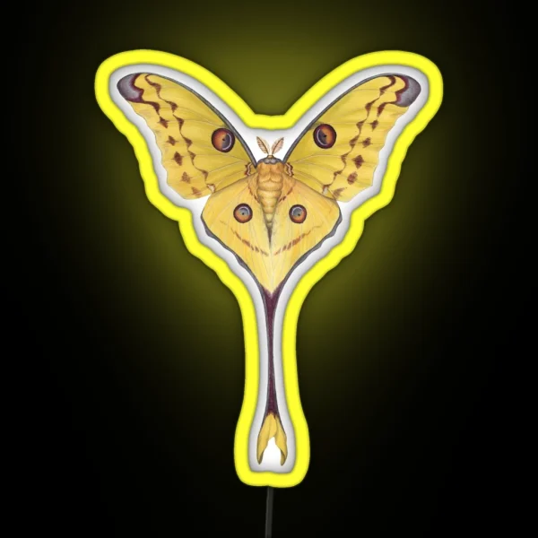 Comet Moth Argema Mittrei RGB Neon Sign