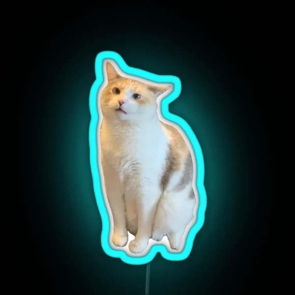 Confused Pank RGB Neon Sign