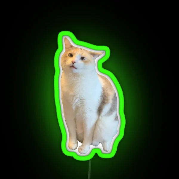 Confused Pank RGB Neon Sign