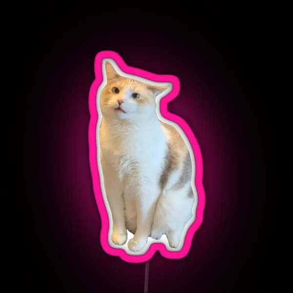 Confused Pank RGB Neon Sign