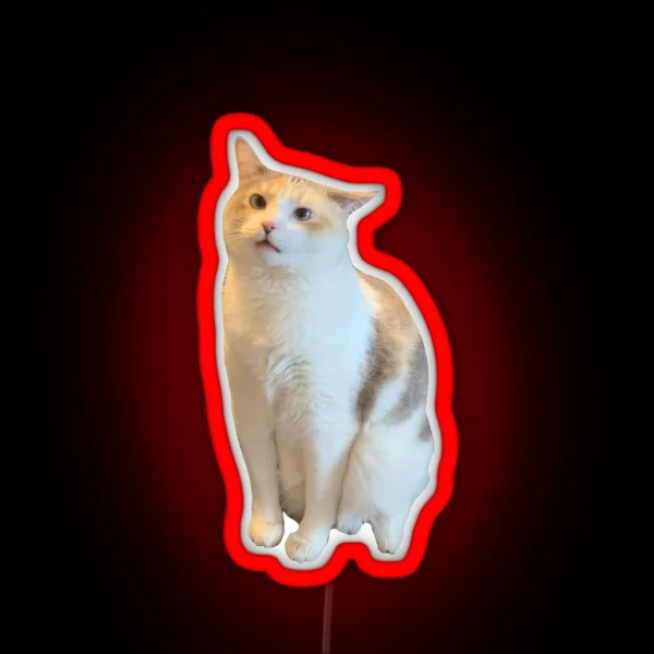 Confused Pank RGB Neon Sign