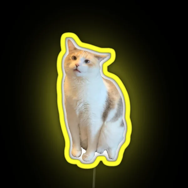 Confused Pank RGB Neon Sign