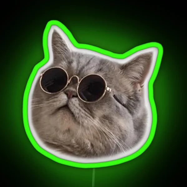 Cool Cat 5 RGB Neon Sign