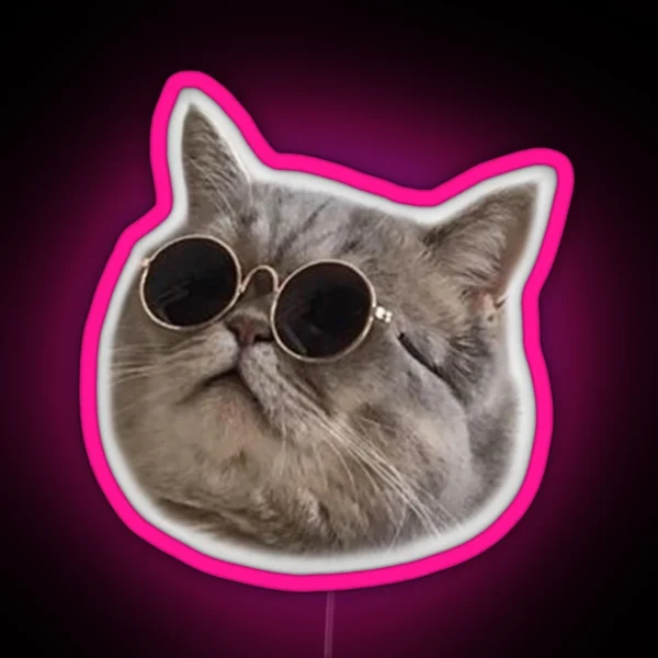 Cool Cat 5 RGB Neon Sign
