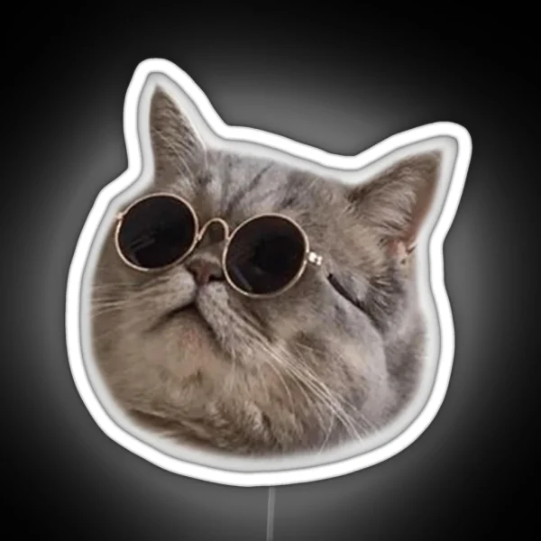 Cool Cat 5 RGB Neon Sign