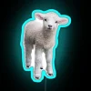Cotswold Lamb RGB Neon Sign - Image 3
