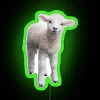 Cotswold Lamb RGB Neon Sign - Image 4