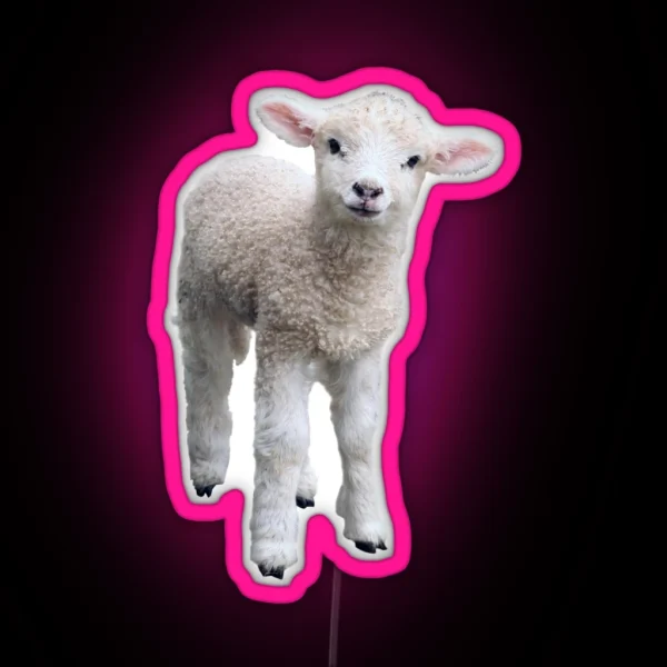Cotswold Lamb RGB Neon Sign