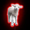 Cotswold Lamb RGB Neon Sign - Image 2