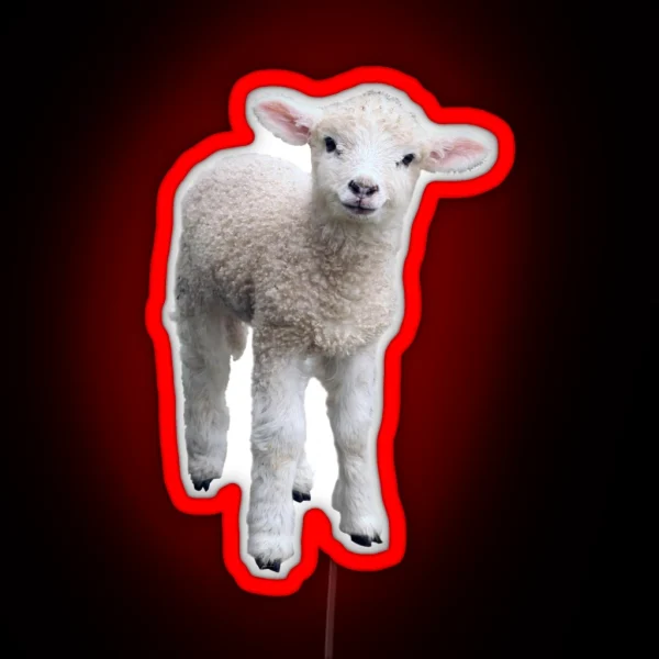 Cotswold Lamb RGB Neon Sign