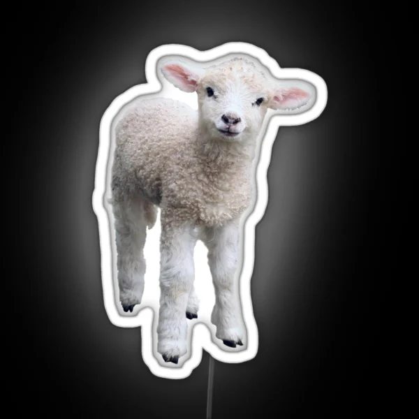 Cotswold Lamb RGB Neon Sign