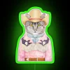 Country Cat RGB Neon Sign - Image 4