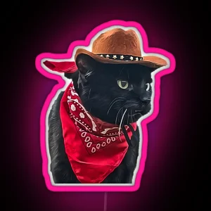 Cowboy Cat 2 RGB Neon Sign