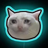 Crying Cat Meme 4 Black Outline RGB Neon Sign - Image 2