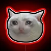 Crying Cat Meme 4 Black Outline RGB Neon Sign